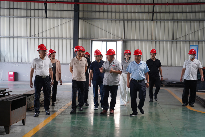 DSC03917---.jpg